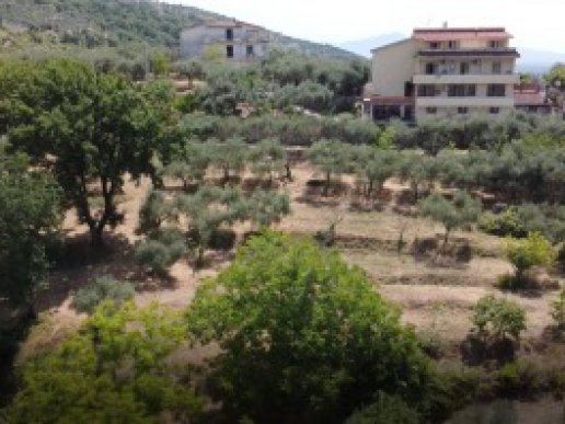 Farmhouse consisting of 6 apartments with 1 hectare of olive grove - 33