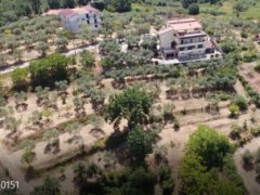 Farmhouse consisting of 6 apartments with 1 hectare of olive grove - 30