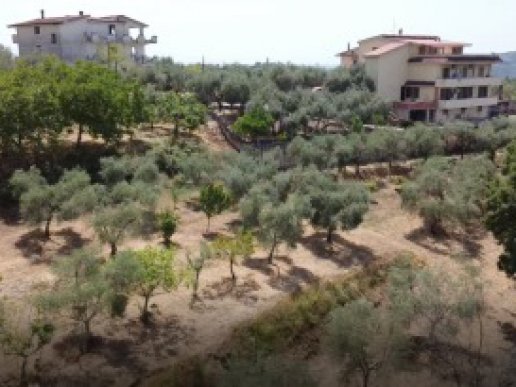 Farmhouse consisting of 6 apartments with 1 hectare of olive grove - 32