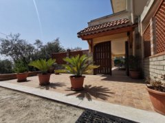 Farmhouse consisting of 6 apartments with 1 hectare of olive grove - 3