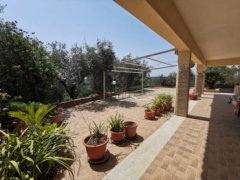 Farmhouse consisting of 6 apartments with 1 hectare of olive grove - 7