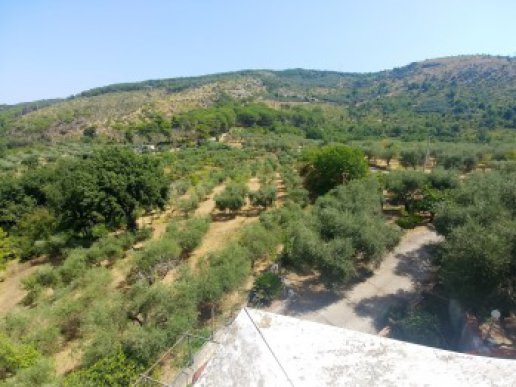 Farmhouse consisting of 6 apartments with 1 hectare of olive grove - 25